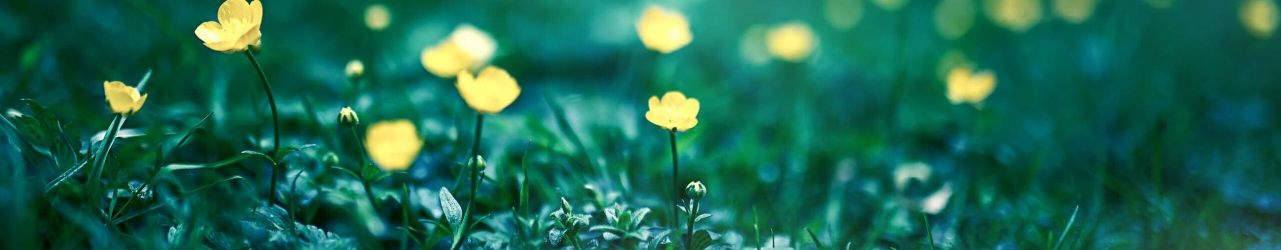 Cum alegi tocul corect în funcție de forma picioarelor